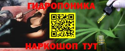 прущие грибы Обнинск