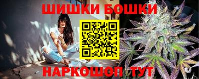 прущие грибы Обнинск