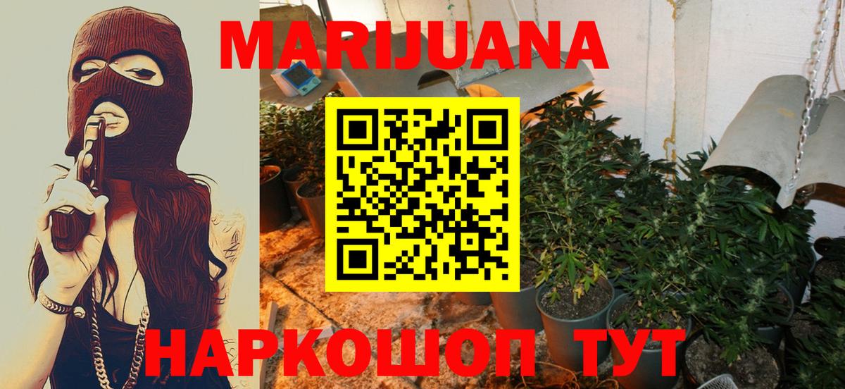 Каннабис сатива Сорочинск